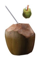 Moonkist Coconut