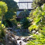 Disney's Polynesian Resort