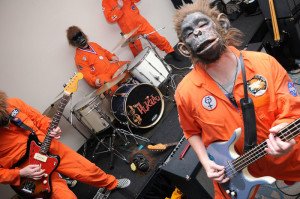 The Disasternauts monkey around at The Hukilau 2014