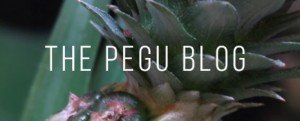 Tiki Month on the Pegu Blog