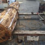 The Florida Black Olive stump that would become King Kai weighed 4,000 to 6,000 pounds when it arrived at the workshop of Fort Lauderdale carver Will Anders in December. (Courtesy of Will Anders)