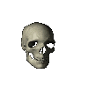 Slammie skull